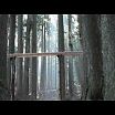 Очень креативная реклама со звуковой дорожкой в лесу
