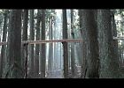 Очень креативная реклама со звуковой дорожкой в лесу